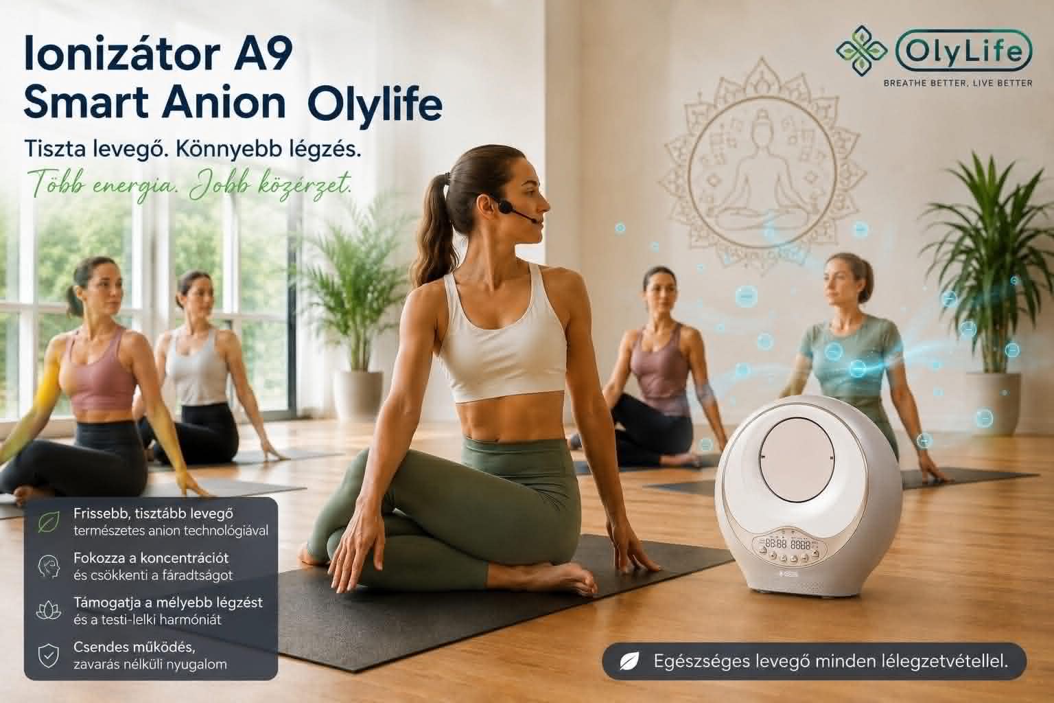 A9 Smart Anion OlyLife Air Purifier